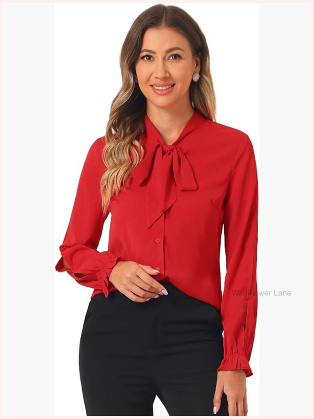 Elegant Bow Tie Neck Long Sleeve Work Blouse Chiffon Top